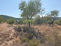 Building Plot in Biar in Alicante Dream Homes Castalla 