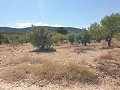 Building Plot in Biar in Alicante Dream Homes Castalla 