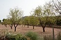 Ancienne finca entièrement rénovée avec piscine et bodega d'origine in Alicante Dream Homes Castalla 