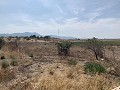 Belle finca rénovée avec piscine in Alicante Dream Homes Castalla 