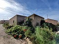 Landhaus in Monovar - Wiederverkauf in Alicante Dream Homes Castalla 