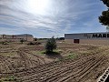 Finca en Novelda - Reventa in Alicante Dream Homes Castalla 