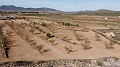 Building plot of land near Pinoso, only for new build villa in Alicante Dream Homes Castalla 