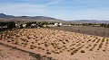 Building plot of land only for new build, in Paredon, Pinoso in Alicante Dream Homes Castalla 