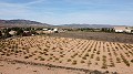 Building plot of land only for new build, in Paredon, Pinoso in Alicante Dream Homes Castalla 