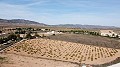 Building plot of land only for new build, in Paredon, Pinoso in Alicante Dream Homes Castalla 