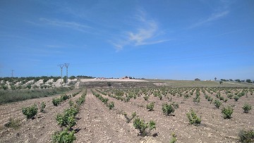 Terrain constructible avec Casita