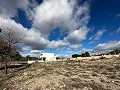 Land in Salinas - Wiederverkauf in Alicante Dream Homes Castalla 