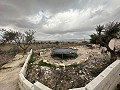 Atemberaubendes Landhaus in Yecla in Alicante Dream Homes Castalla 