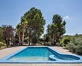 Stunning villa in Monovar in Alicante Dream Homes Castalla 