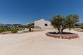 Wunderschöne bezugsfertige Villa mit Gästehaus und Pool in Alicante Dream Homes Castalla 