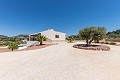 Wunderschöne bezugsfertige Villa mit Gästehaus und Pool in Alicante Dream Homes Castalla 