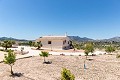 Belle villa prête à emménager avec maison d'hôtes et piscine in Alicante Dream Homes Castalla 