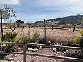 Schöne kleine Villa mit herrlichem Blick am Stadtrand von La Romana in Alicante Dream Homes Castalla 