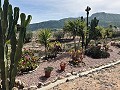 Schöne kleine Villa mit herrlichem Blick am Stadtrand von La Romana in Alicante Dream Homes Castalla 