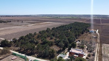 Terreno en Alicante, Elche