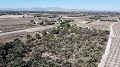 Non building plot of land in Elche with palm trees in Alicante Dream Homes Castalla 