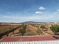 Villa moderne de 3 chambres à pied de la ville avec maisons d'hôtes in Alicante Dream Homes Castalla 