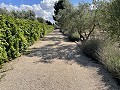 Vrijstaand landhuis in Biar in Alicante Dream Homes Castalla 