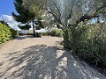 Vrijstaand landhuis in Biar in Alicante Dream Homes Castalla 