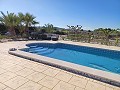 Detached Villa in Aspe in Alicante Dream Homes Castalla 