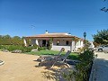 Detached Villa in Aspe in Alicante Dream Homes Castalla 