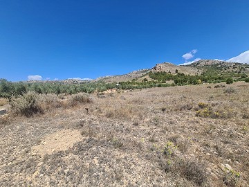 Terrain de 16 200 m2 à Sax - Santa Eulalia