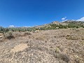 16,200m2 of land in Sax - Santa Eulalia in Alicante Dream Homes Castalla 