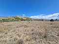 16,200m2 of land in Sax - Santa Eulalia in Alicante Dream Homes Castalla 