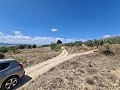 16,200m2 of land in Sax - Santa Eulalia in Alicante Dream Homes Castalla 