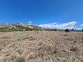 16,200m2 of land in Sax - Santa Eulalia in Alicante Dream Homes Castalla 