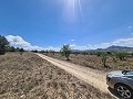 16,200m2 of land in Sax - Santa Eulalia in Alicante Dream Homes Castalla 