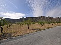 Legal Building Plot with mains water and electric in Salinas close to Sax in Alicante Dream Homes Castalla 