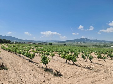 2 Parzellen in Salinas mit Wasser und Strom