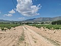 2 Parcelles à Salinas avec eau et électricité in Alicante Dream Homes Castalla 