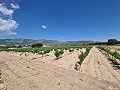 2 Parcelles à Salinas avec eau et électricité in Alicante Dream Homes Castalla 