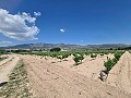 2 Parcelles à Salinas avec eau et électricité in Alicante Dream Homes Castalla 