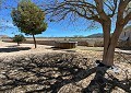 Wunderschönes 140 Jahre altes Bauernhaus in Salinas in Alicante Dream Homes Castalla 