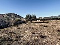 Geräumige Villa mit toller Aussicht und nur wenige Gehminuten von La Romana entfernt in Alicante Dream Homes Castalla 