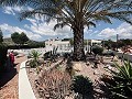 Geräumige Finca mit Swimmingpool und Carport in Hondon de las Nieves in Alicante Dream Homes Castalla 