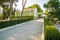 Luxe villa in Aspe op loopafstand van de stad in Alicante Dream Homes Castalla 