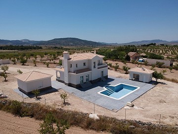 Villas de nouvelle construction à Pinoso avec piscine et terrain