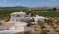 Dream New Build Villas in Alicante's beautiful countryside in Alicante Dream Homes Castalla 