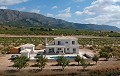 Villas neuves de rêve dans la belle campagne d'Alicante in Alicante Dream Homes Castalla 