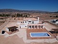 Schöne neue Villa zum Verkauf in Pinoso in Alicante Dream Homes Castalla 