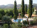 Deux maisons plus des ruines et une grande quantité de terrain in Alicante Dream Homes Castalla 