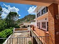 Deux maisons plus des ruines et une grande quantité de terrain in Alicante Dream Homes Castalla 