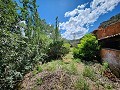 Two houses plus ruins and large amount of land in Alicante Dream Homes Castalla 