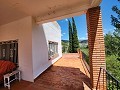 Dos casas mas ruinas y gran cantidad de terreno in Alicante Dream Homes Castalla 