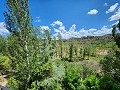 Two houses plus ruins and large amount of land in Alicante Dream Homes Castalla 